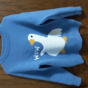 Aelfric Eden Duck WOW sweater